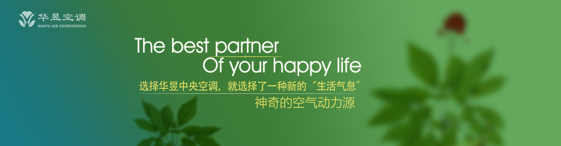 文修武偃网